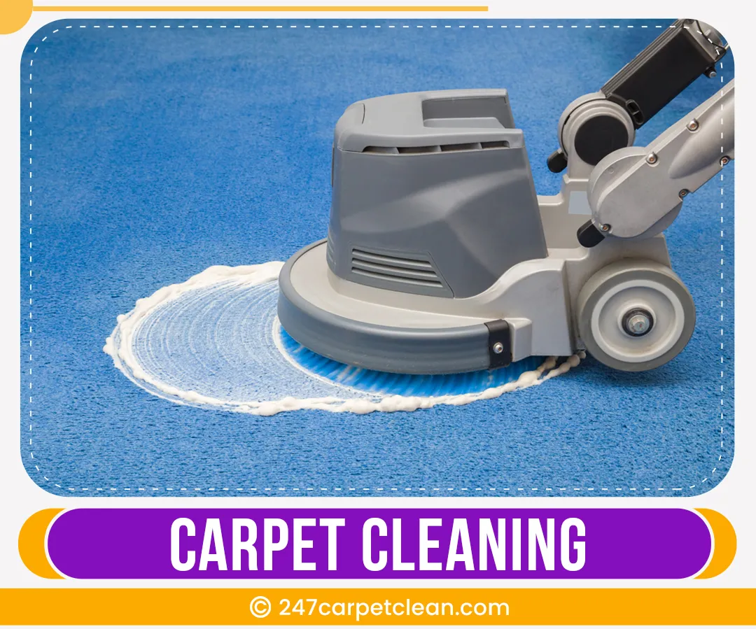 carpet cleaners in Bronx, carpet cleaning in Bronx, carpet cleaning bronx, carpet cleaners in bronx,  commercial carpet cleaning, commercial carpet cleaning in bronx,carpet cleaning in bronx,  bronx rug cleaners, rug cleaning services in bronx, same day carpet cleaning, same day rug cleaning