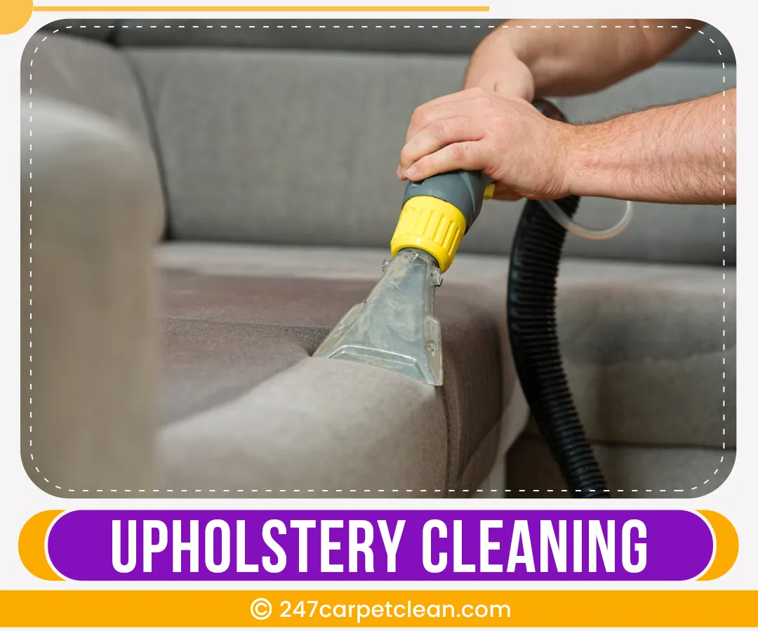 carpet cleaners in Bronx, carpet cleaning in Bronx, carpet cleaning bronx, carpet cleaners in bronx,  commercial carpet cleaning, commercial carpet cleaning in bronx,carpet cleaning in bronx,  bronx rug cleaners, rug cleaning services in bronx, same day carpet cleaning, same day rug cleaning